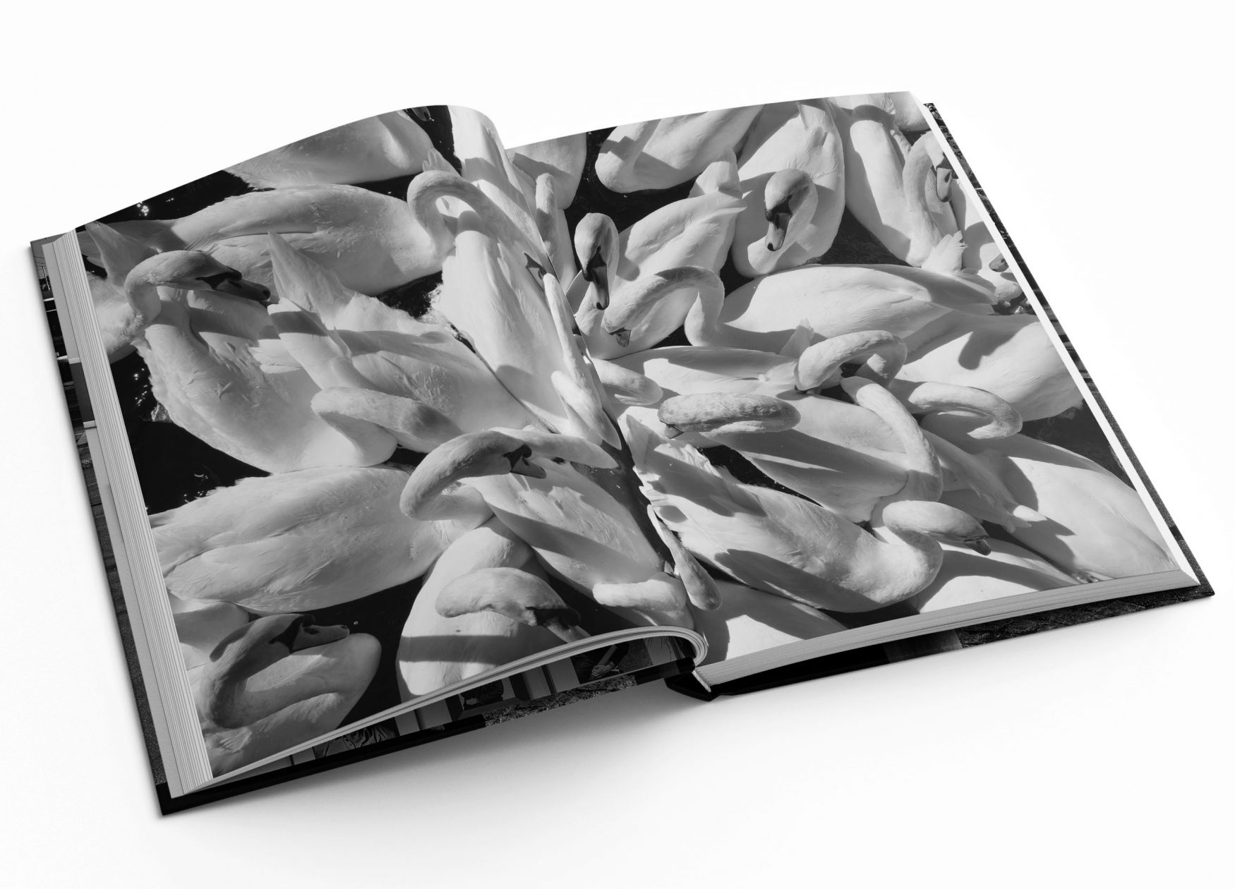 Stolen Moments Art Directors Club für Deutschland ADC